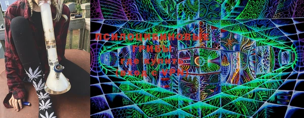 трава Покачи