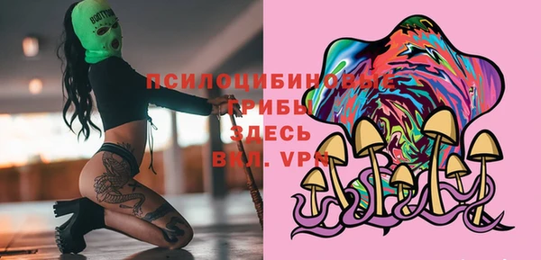 spice Алексин