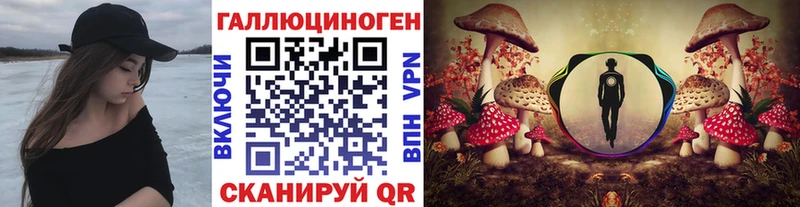 Галлюциногенные грибы Psilocybine cubensis  маркетплейс состав  Макушино 